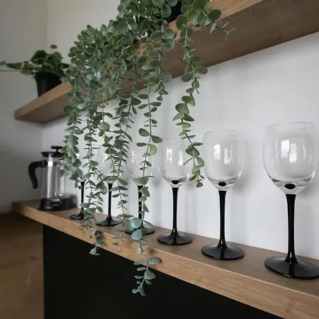 Rent40 Avec Brzezno Ul. Chodkiewicza * Gdańsk
