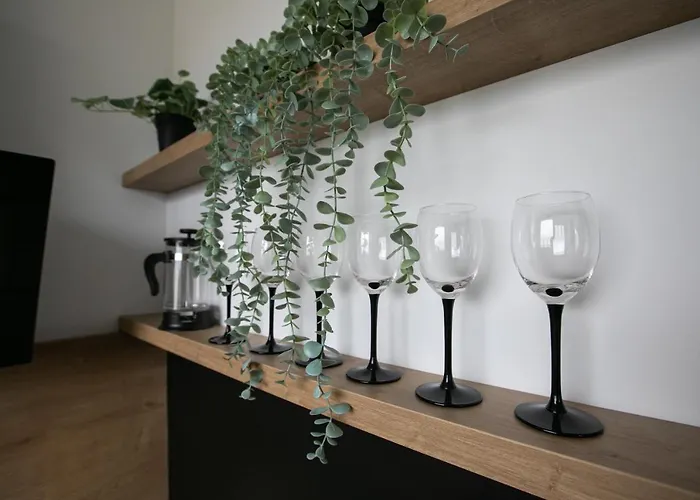 Rent40 Avec Brzezno Ul. Chodkiewicza * Gdaňsk